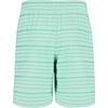 image:imageHurley Boys H20dri Pull on ShortsGreen Glow Stripe