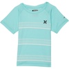 Aurora Green/Stripe