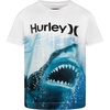 White/Shark