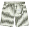 image:imageHurley Boys Pull on Swim TrunksPalm Green Seersucker