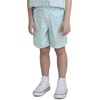 image:imageHurley Kids Boys Pop Color Palm PullOn Swim Trunks Little KidBlue IceFlamingo