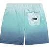 image:imageHurley Kids Boys Pop Color Palm PullOn Swim Trunks Little KidMint Candy Ombre