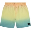image:imageHurley Kids Boys Pop Color Palm PullOn Swim Trunks Little KidMulti Ombre