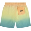 image:imageHurley Kids Boys Pop Color Palm PullOn Swim Trunks Little KidMulti Ombre