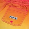 image:imageHurley Kids Boys Pop Color Palm PullOn Swim Trunks Little KidPoppy Ombre